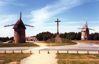 LES HERBIERS 
Mont des Alouettes